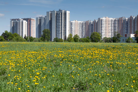 Nature Writing as a Part of Urban Life